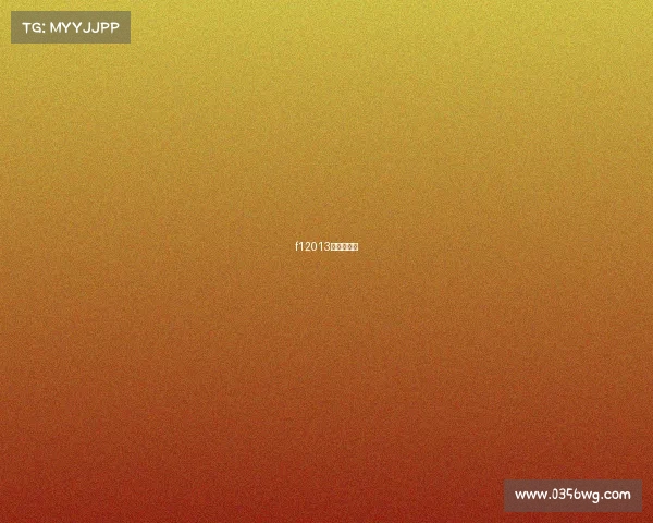 f12013中国站正赛